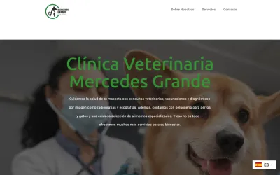 Clinvet Mercedes Grande