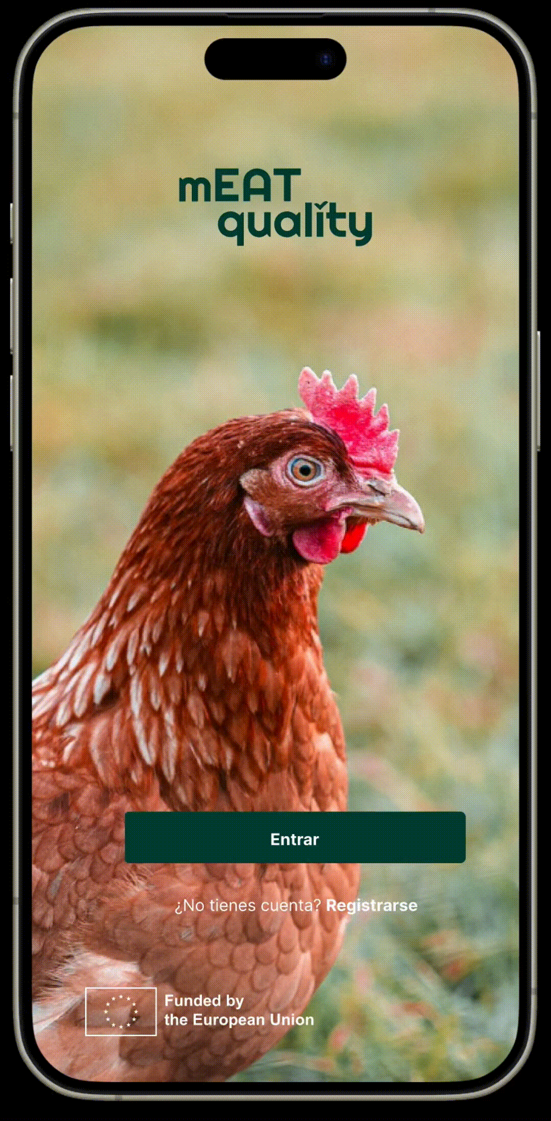 APP POLLO